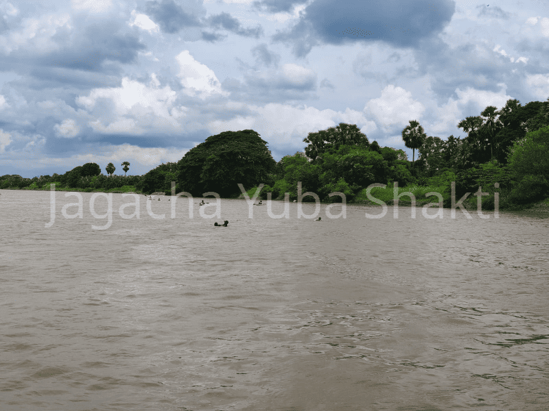 Damodar River Open Water Swimming 10 Kilometer